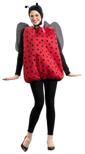 Native American Princess Adult Costume X-Small/Small [Apparel]