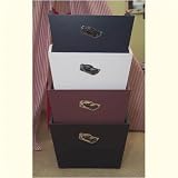 Automobile Stacking Bins