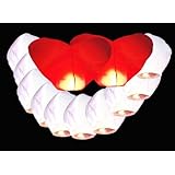 Détails sur le produit