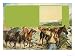 Australian Gold Rush Art Giclee Poster Print by English School, 24x18