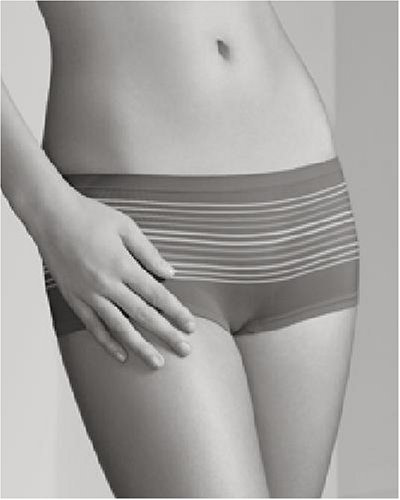 Maidenform Women's Seamless Panty Collection Boyshort #40711