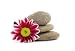 Zen Spa Stones with Flowers - 36