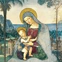 Pack of 8 Shelter and St Mungos Religious Charity Christmas Cards - Madonna and Child