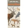 D�tails sur le produit