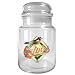 Baltimore Orioles MLB 31oz Glass Candy Jar - Primary Logo by Great American Products