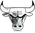 NBA Chicago Bulls 3D Chrome Auto Emblem, Licensed Product