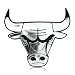 NBA Chicago Bulls 3D Chrome Auto Emblem, Licensed Product