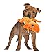 goDog Amphibianz Tough Plush Extra Large Dog Toy with Chew Guard Technology, Salamander