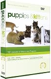 Puppies and Kittens