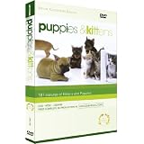 Puppies and Kittensby dogs and cats