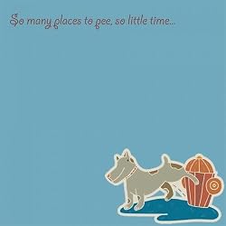 So many places to pee, so little time Sticky Notes 2 Pad Pack