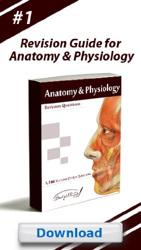 Textbook - Anatomy & Physiology Student Workbook - 800 Multiple Choice Questions