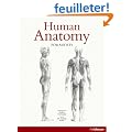 Human Anatomy for Artists