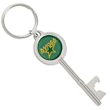 NHL Dallas Stars Key Bottle Opener Keychain