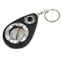 Compass Thermometer Keychain