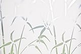 Bamboo Window