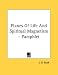 Search : Planes Of Life And Spiritual Magnetism - Pamphlet