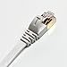 Tera Grand - 12FT - CAT7 10 Gigabit Ethernet Ultra Flat Patch Cable for Modem Router LAN Network, Gold Plated Shielded RJ45 Connectors, Faster Than CAT6a CAT6 CAT5e, White