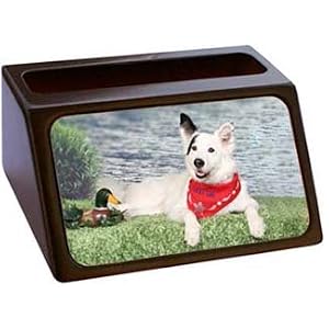 Border Collie Business Card Holder