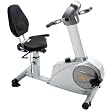 Stamina Elite Total Body Recumbent Bike