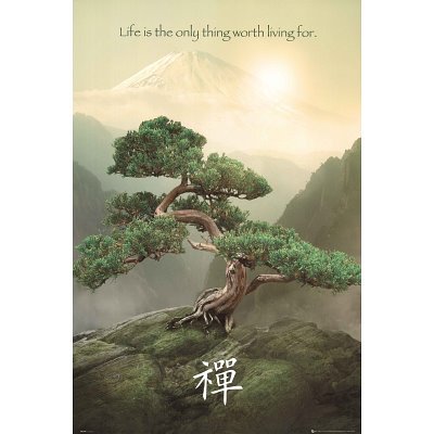 Zen-Mountain Poster Poster