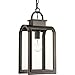 Progress Lighting P6531-108 Transitional One Light Hanging Lantern from Refuge Collection Dark Finish, Oil Rubbed Bronze