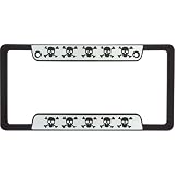 CHROME SKULL PLATE 