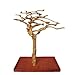 Java Wood Tree Size: Small (24