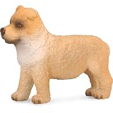 Small Chow Chow Puppy Model