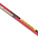 Pacer Mystic Womens Vaulting Poles - Pole Size 12' Vaulter Weight 150 LB - Track And Field