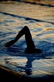 Silhouetted Swimmer 3 - 36H x 24W - Peel and Stick Wall Decal by Wallmonkeys