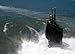 Wallmonkeys Peel and Stick Wall Decals - U.s. Navy Sailors Man a Topside Watch Onboard the Attack Submarine Uss Albany. - Removable Graphic