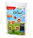 Beech-Nut Tropical Fruit Yogurt Nibbles,  1.5 Ounce Bags (Pack of 5)