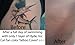 Hide Ink Tattoo Covers 