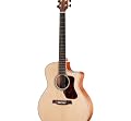 Walden Natura Series G 740 Ce Tdm Deluxe Gigbag