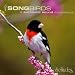 Songbirds: A Surround Sound Experience [SACD]