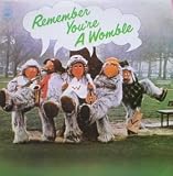 remember youre a womble LP