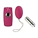 California Exotics / Swedish Erotica Rubber Cote Remote Egg Bullets Vibrator Adult Sex Toy Kit