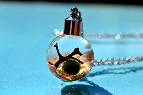 Pink Peach Live Marimo Moss Ball Terrarium Necklace - 101 % Natural Sand from Bermuda