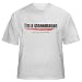 I'm a stonemason Like you could do better Adult T-Shirt Various Colors