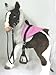 Butterscotch S'Mores Interactive Hasbro Saddle Set -Fun Pink