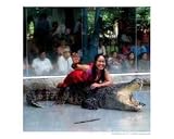 Crocodile Lady Fighter Places Photographic Poster Print by pui sangsuriyasilp, 10x8