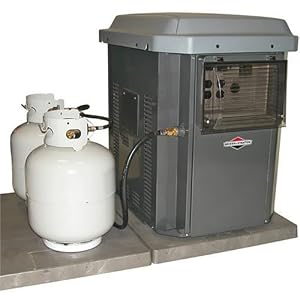 Briggs & Stratton 40248 7000-Watt PowerNow Dual Mode Air Cooled Home Standby Generator
