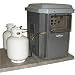 Briggs & Stratton 40248 7000-Watt PowerNow Dual Mode Air Cooled Home Standby Generator
