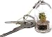 Miniature Pet Tree - A Real Plant On A Keyring
