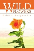 Wild Flowers