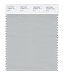 UPC 874086007259 product image for PANTONE SMART 14-4503X Color Swatch Card, Metal | upcitemdb.com