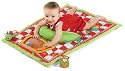Picnic Time - Baby Play Mat / Gym Activity Toy