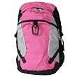 Victorinox Dual Compartment Backpack