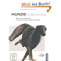 Hunde in Bewegung